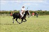 UKPA  NC Sat_1281
